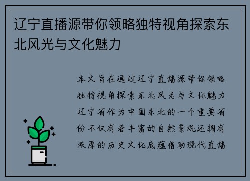 辽宁直播源带你领略独特视角探索东北风光与文化魅力